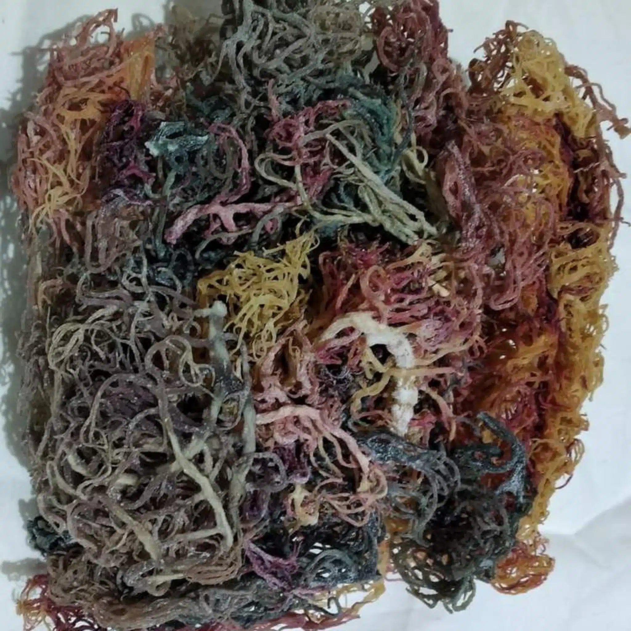 sea moss gel
