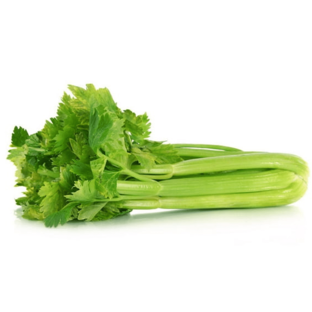 Organic Celery Stalk