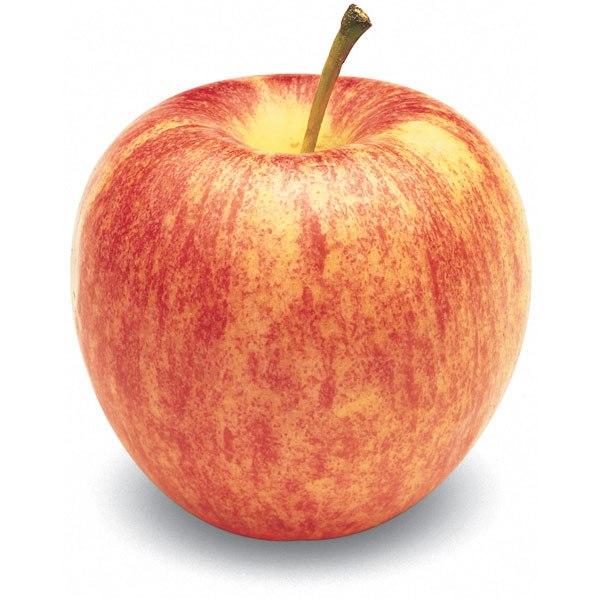 Organic Gala Apple- 3 lbs