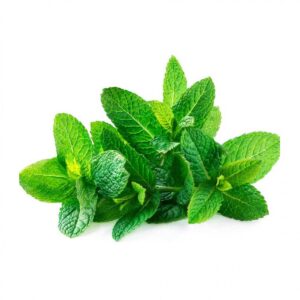 Organic Mint Bunch